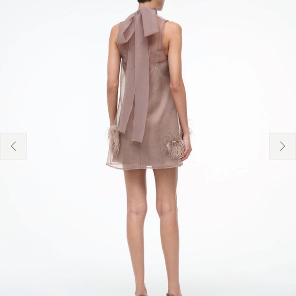 Elegant Sheer Brown Dress - Picture 2 of 3